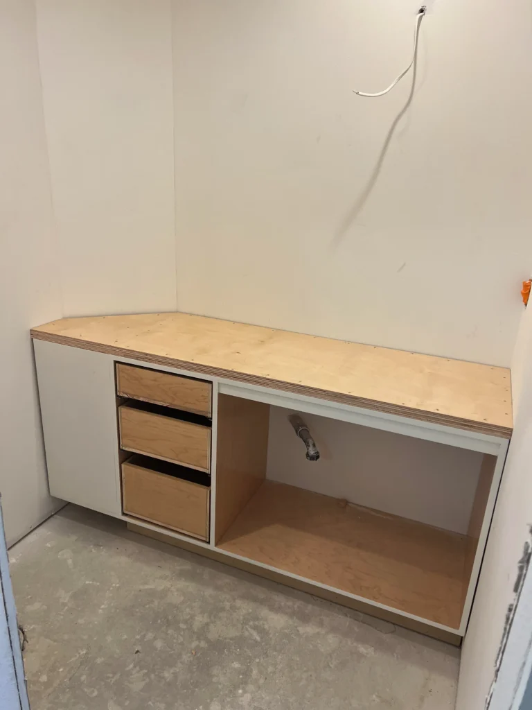 custom pantry storage solution in modern La Jolla kitchen remodel