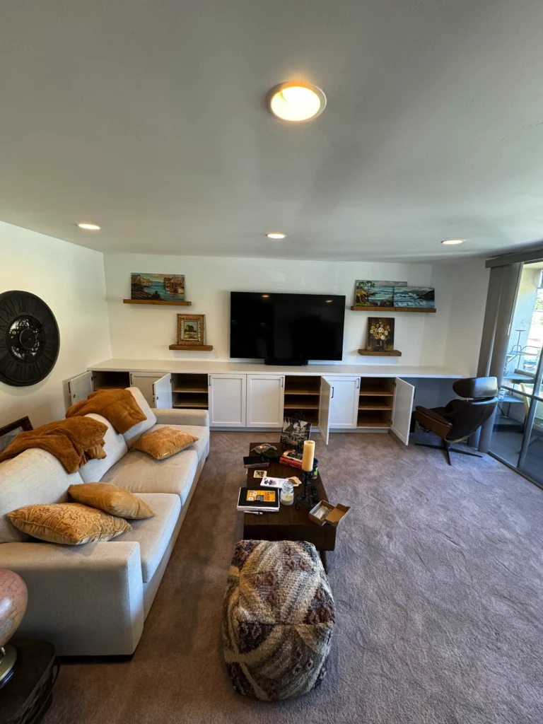 living room with custom tv stand and storage in La Jolla